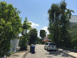 Bukit Loyang Estate (D17), Semi-Detached #216496991